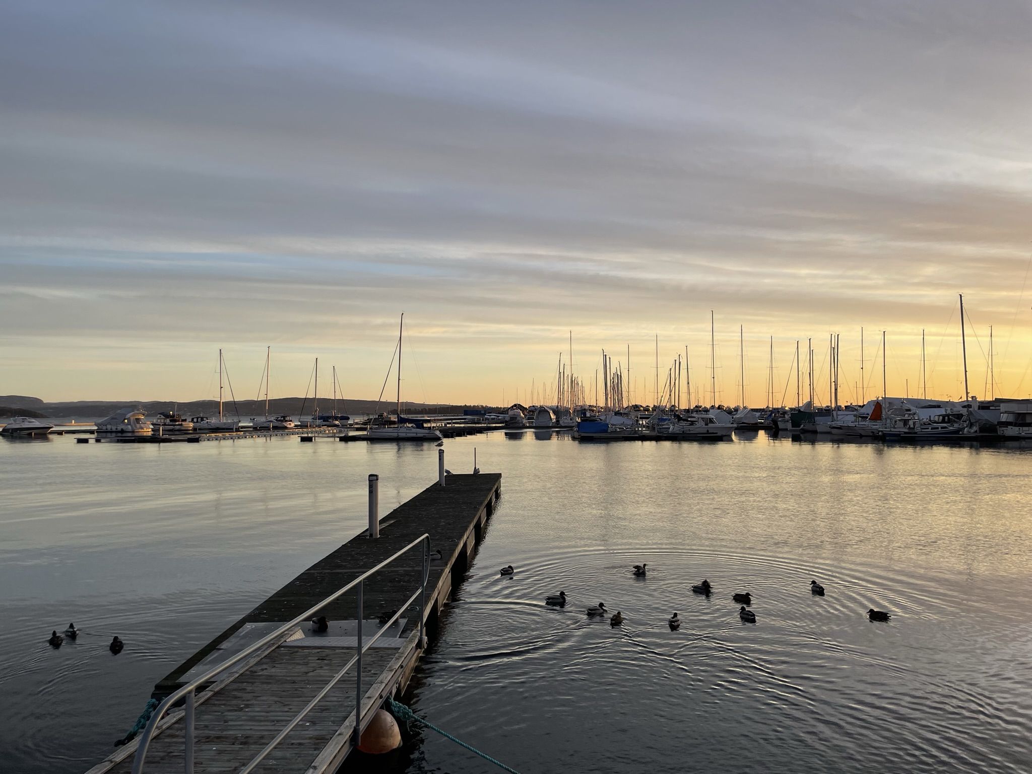 Holmestrand kommune Hjemmebaserte tjenester